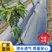 果树防草布